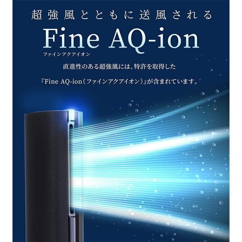 QUADS スティックドライヤー BISARA STICK ビサラ スティック ブラック